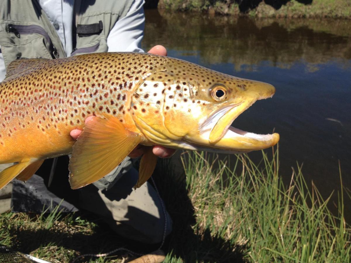 Liawenee Thousand Lakes Lodge מראה חיצוני תמונה